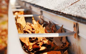 Deepdene gutter cleaning companies